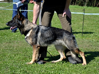 Aida z Medvedej ulice